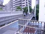 P5220005.jpg