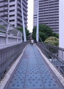P5220009.jpg